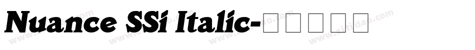 Nuance SSi Italic字体转换